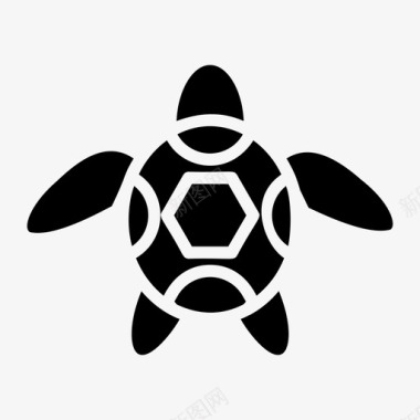 海龟海洋动物贝壳动物图标