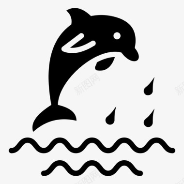 海豚鲸目动物哺乳类鱼类图标