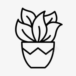 绿化室内装饰盆栽植物绿化室内植物高清图片