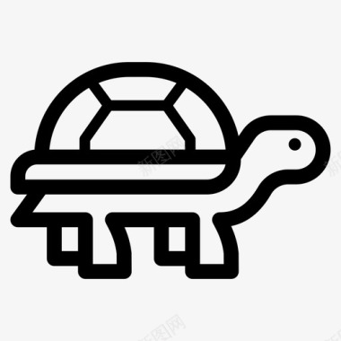 乌龟爬行动物贝壳图标