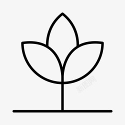 绿化室内装饰植物花园绿化高清图片