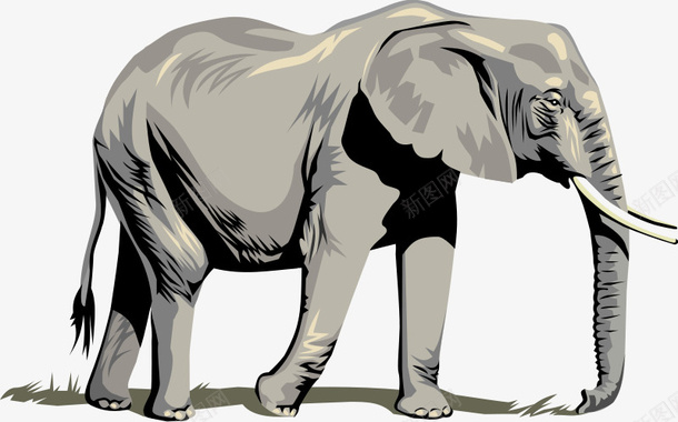 高清免扣素材大象png免抠素材_新图网 https://ixintu.com 大象 高清免扣素材大象 卡通大象 动物 大型动物