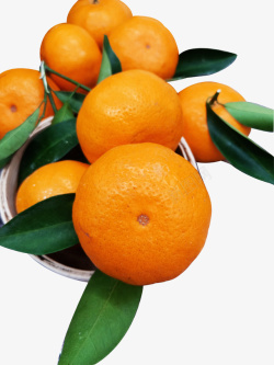 龙门年桔橘子素材