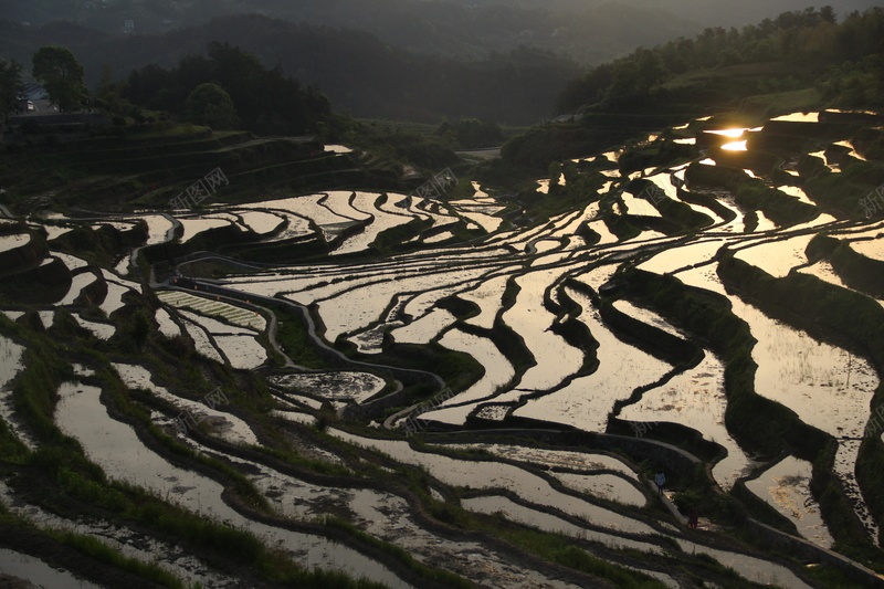 雾云山梯田的夜幕jpg设计背景_新图网 https://ixintu.com 梯田 雾云山 湖北 英山