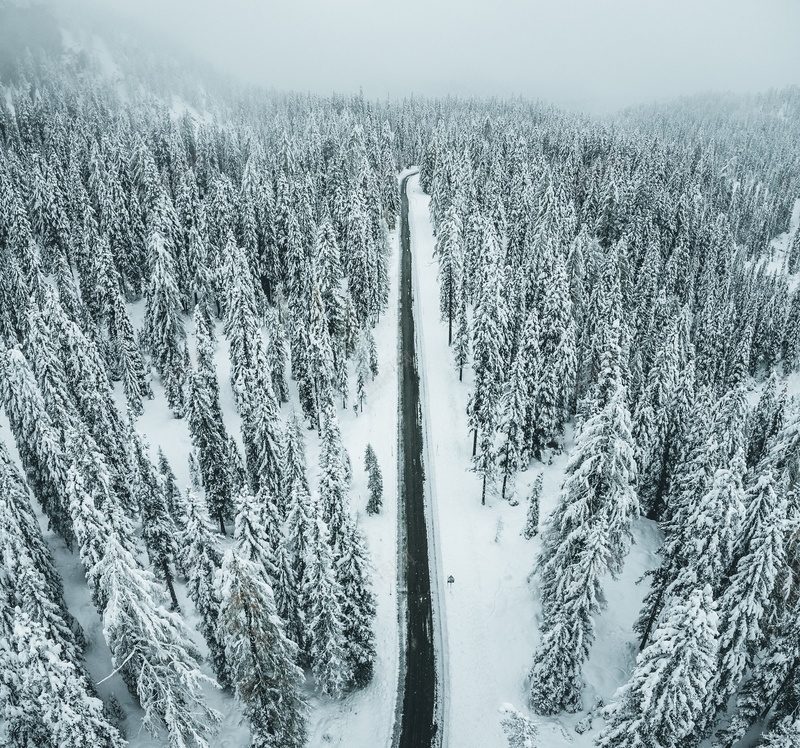 冬季的大森林jpg设计背景_新图网 https://ixintu.com 冬天 大雪 森林 马路