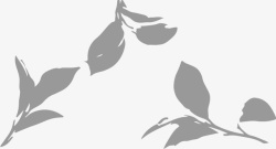 AI茶叶包装AI树叶元素抠图高清图片