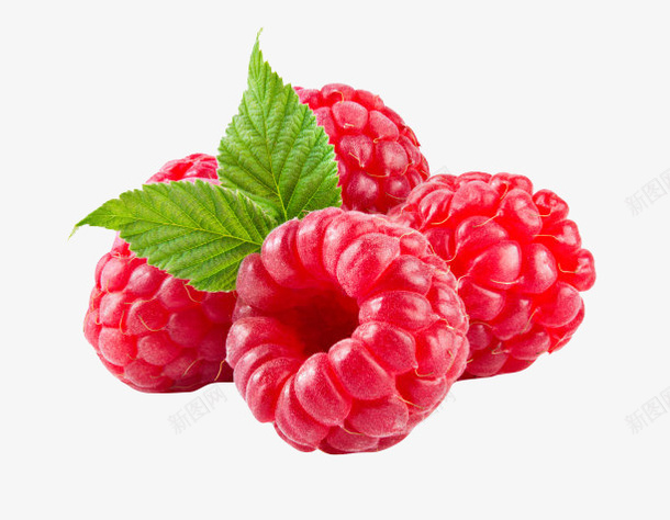 免抠水果树莓png免抠素材_新图网 https://ixintu.com PNG素材 产品实物 免抠 免费PNG素材 免费素材 树莓 水果 红色