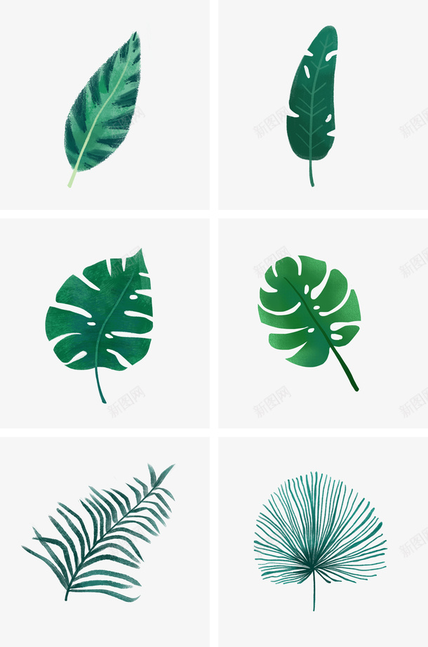 绿色植物树叶插画素材png免抠素材_新图网 https://ixintu.com 树叶 绿植 插画 清新
