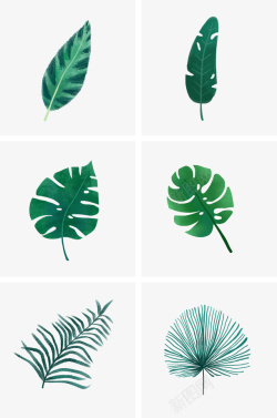 植物树叶绿色植物树叶插画素材高清图片