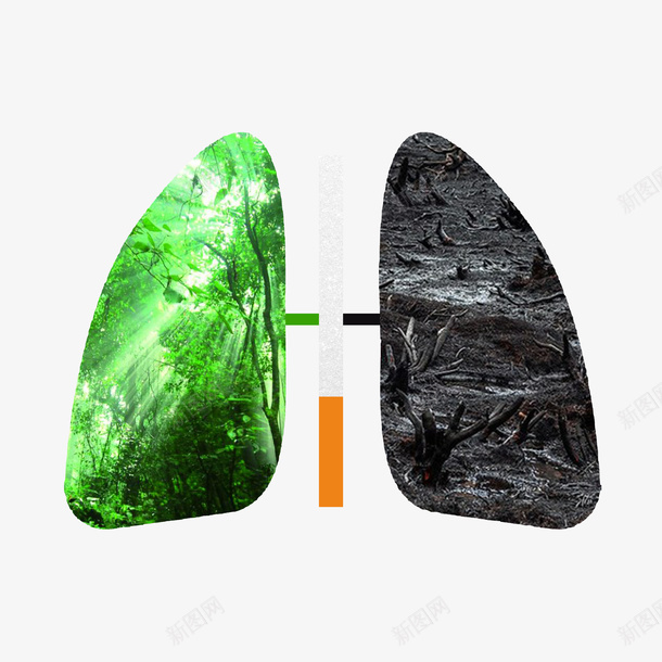 吸烟有害健康肺部png免抠素材_新图网 https://ixintu.com 健康 吸烟 吸烟后的肺部对比图 有害 肺部