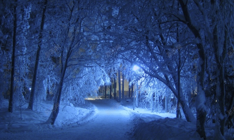 冰雪背景jpg设计背景_新图网 https://ixintu.com 冰雪 雪花 背景 雪天