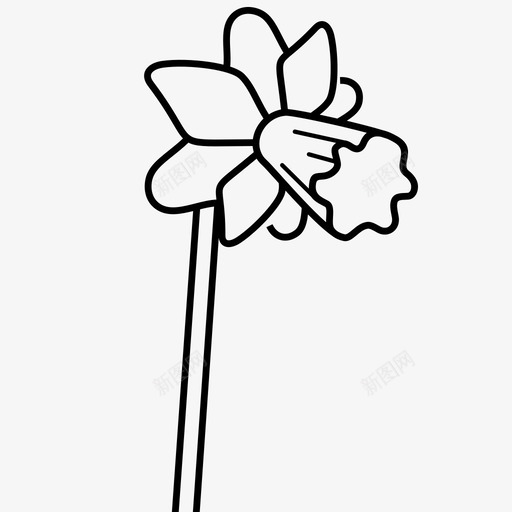 春天水仙花svg_新图网 https://ixintu.com 水仙花 春天