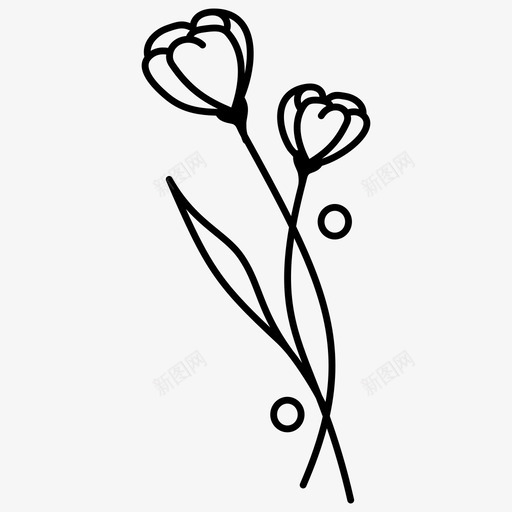 野花植物装饰svg_新图网 https://ixintu.com 野花 植物 装饰 花卉 花环