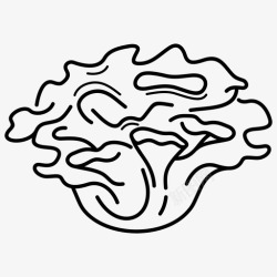 麦冬图标麦冬香菇子实体高清图片