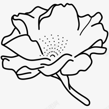 蔷薇花抗氧化剂野蔷薇图标