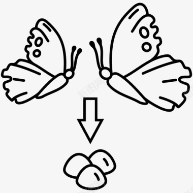蝴蝶变态蝴蝶叶蝉发育周期图标