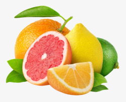 果蔬新鲜水果天然橙子橘子素材