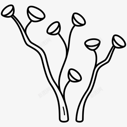 史前植物植物外来的svg_新图网 https://ixintu.com 植物 史前 外来 灭绝 绝的 草本植物