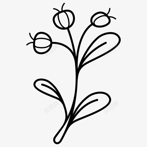 冬天的叶子浆果植物的分支svg_新图网 https://ixintu.com 冬天 叶子 分支 浆果 植物 涂鸦 花枝