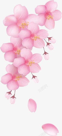 粉色花朵花枝素材