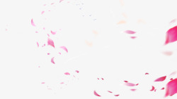 花瓣02素材