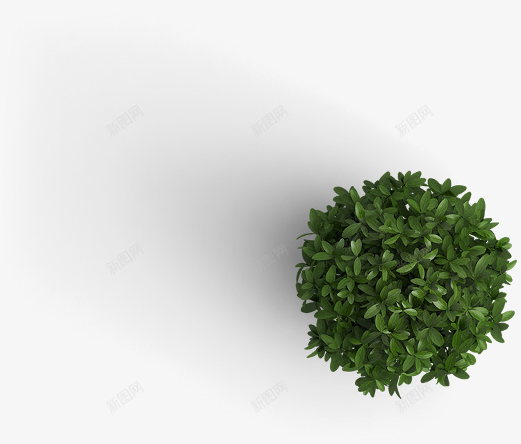 盆栽俯视绿色植物北欧png免抠素材_新图网 https://ixintu.com 盆栽 俯视 绿色植物 北欧