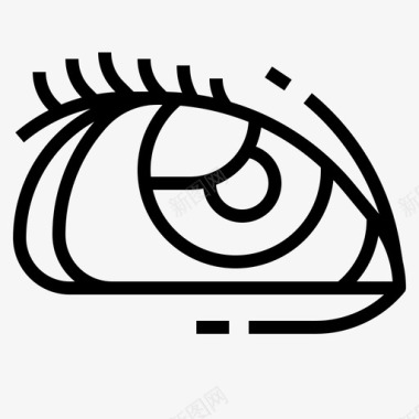 眼球解剖角膜图标