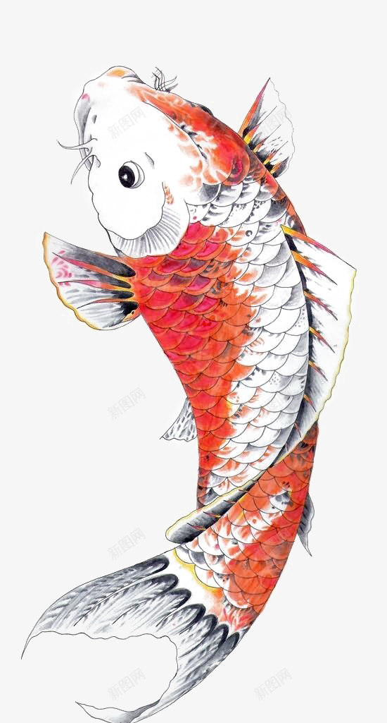 中国古美術・荷花鯉鱼図三尺画芯・啓功印款・水墨画・純手描き・文房具・宣紙・带水印 中国古美術・荷花鯉鱼図三尺画芯・啓功印款・水墨画・純手描き