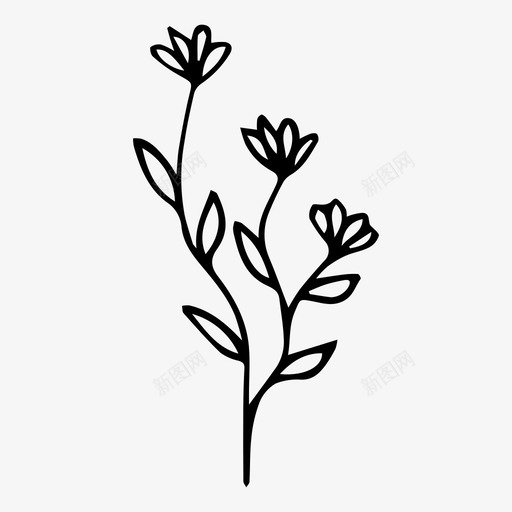植物树枝草本植物svg_新图网 https://ixintu.com 植物 树枝 草本植物 自然 春天