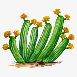cactus水彩仙人掌插画免扣cactus08高清图片