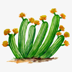 水彩仙人掌插画免扣cactus08素材