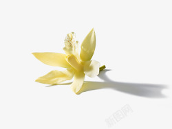 未标题3素材