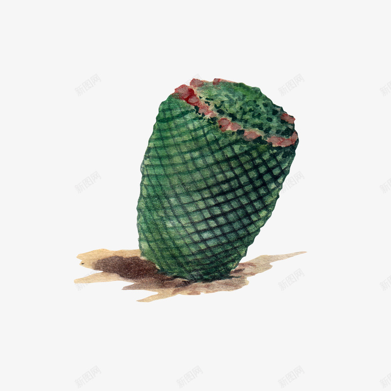 水彩仙人掌插画免扣cactus21png免抠素材_新图网 https://ixintu.com 水彩 仙人掌 插画 免扣