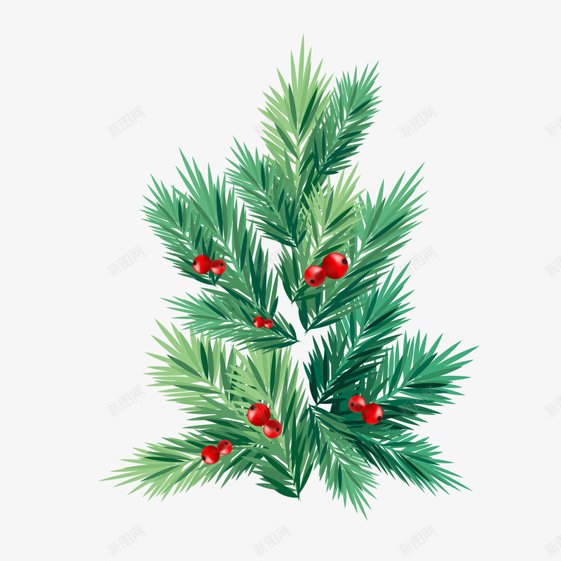 圣诞节装饰植物边框png免抠素材_新图网 https://ixintu.com 圣诞节 植物 装饰 设计师 边框