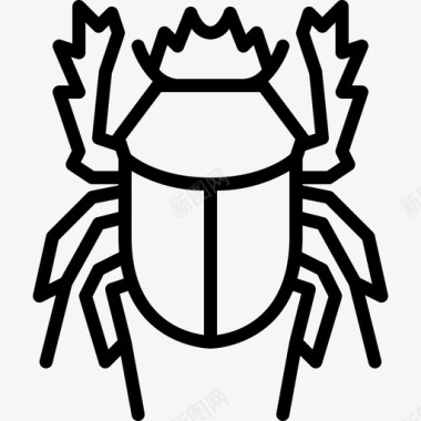 粪甲虫动物虫子图标