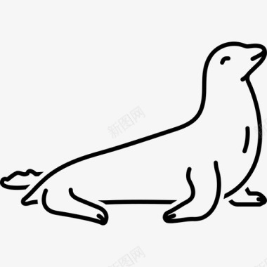 海豹哺乳动物顽皮图标