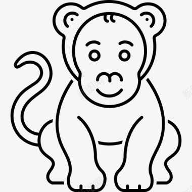 猴子黑猩猩狐猴图标