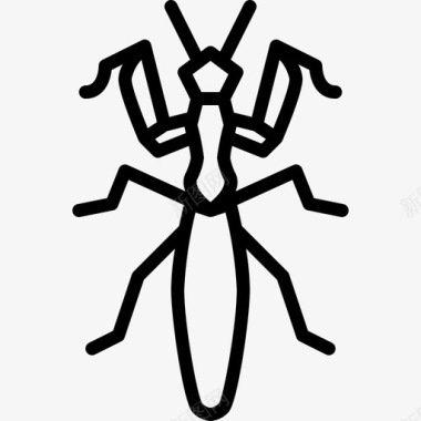 螳螂动物昆虫图标