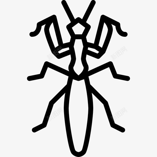 螳螂动物昆虫svg_新图网 https://ixintu.com 昆虫 螳螂 动物 花园 轮廓 图标