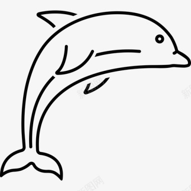 海豚鲸目背部图标