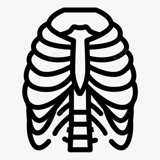 肋骨生物学健康svg_新图网 https://ixintu.com 人体 健康人 器官 生物学 肋骨 胸骨