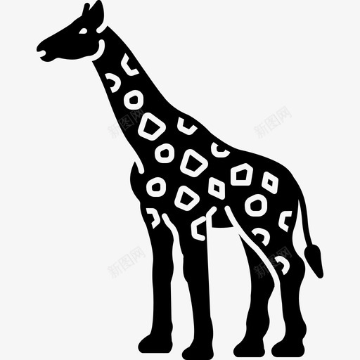 长颈鹿动物群食草动物svg_新图网 https://ixintu.com 长颈鹿 动物群 食草动物 哺乳动物