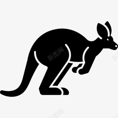 袋鼠澳大利亚哺乳动物图标
