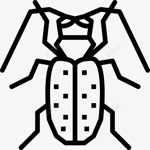 柑橘长角甲虫动物昆虫svg_新图网 https://ixintu.com 柑橘 长角 甲虫 昆虫 动物 园林
