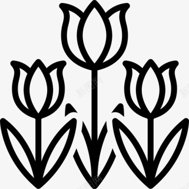 郁金香花束装饰图标