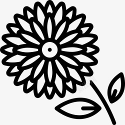 玛格丽特菊花甘菊雏菊高清图片