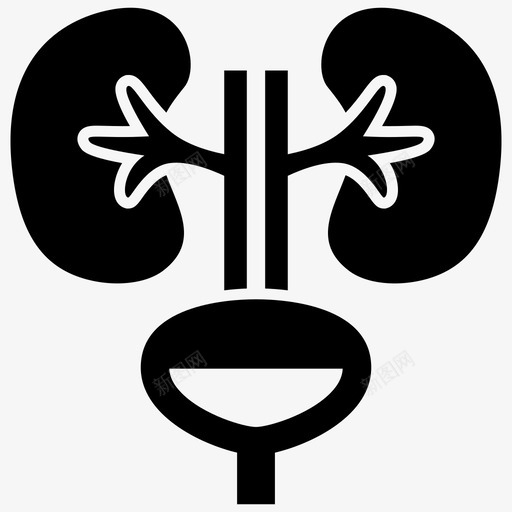 肾脏解剖学膀胱svg_新图网 https://ixintu.com 肾脏 解剖学 膀胱 泌尿外科 医疗设备