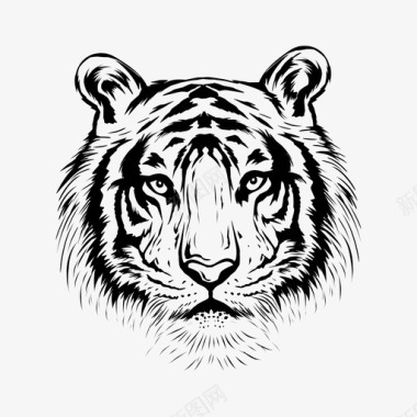 老虎动物动物园图标