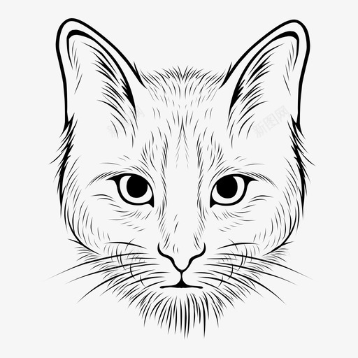 猫脸宠物svg_新图网 https://ixintu.com 猫脸 宠物