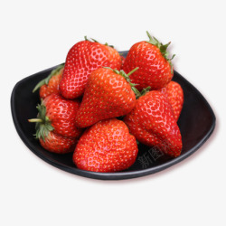 丹东草莓正宗丹东草莓99草莓3斤红颜奶油东港久久大草梅孕妇高清图片